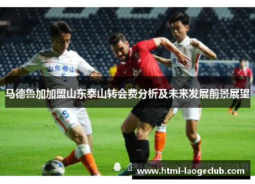 马德鲁加加盟山东泰山转会费分析及未来发展前景展望 马德鲁加加盟山东泰山转会费分析及未来发展前景展望