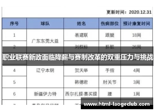 职业联赛新政面临降薪与赛制改革的双重压力与挑战